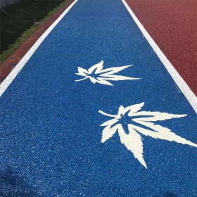尼木縣 生態(tài)透水地坪 彩色混凝土街道 彩色無(wú)砂混凝土 材料廠家直銷